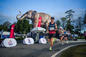 BIB: 
                            <button type="button" onclick="openModal(26541975)" class="btn btn-primary btn-sm float-right btn-popup" data-toggle="modal" data-target=".modal-high-quality">
                        <i class="fas fa-shopping-cart"></i> Add to Cart
                    </button>
                                            <button type="button" onclick="isThisMe(26541975, true)" class="btn btn-success btn-sm float-right btn-popup btn-isme hidden" data-toggle="tooltip" data-placement="bottom" title="นี่คือรูปของคุณใช่ไหม คลิกที่นี่เพื่อเอาเข้าอัลบั้ม">
                        <i class="fas fa-plus"></i> Add to album
                    </button>
                    <button type="button" onclick="isThisMe(26541975, false)" class="btn btn-warning btn-sm float-right btn-popup btn-isnotme hidden">
                        <i class="fas fa-ban"></i> Remove from album
                    </button>